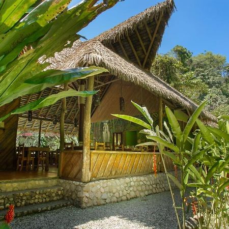 Esquinas Rainforest Lodge Golfito Zewnętrze zdjęcie