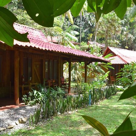 Esquinas Rainforest Lodge Golfito Zewnętrze zdjęcie