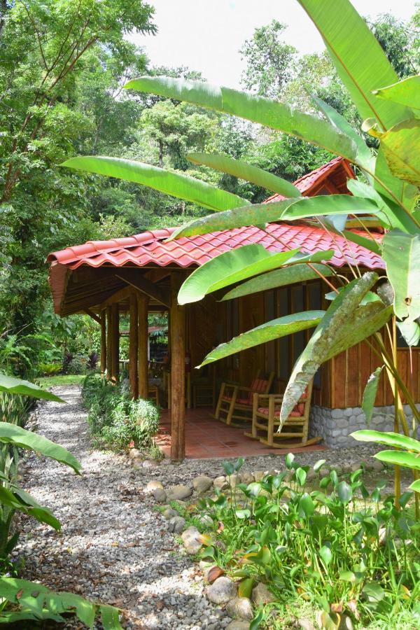 Esquinas Rainforest Lodge Golfito Zewnętrze zdjęcie