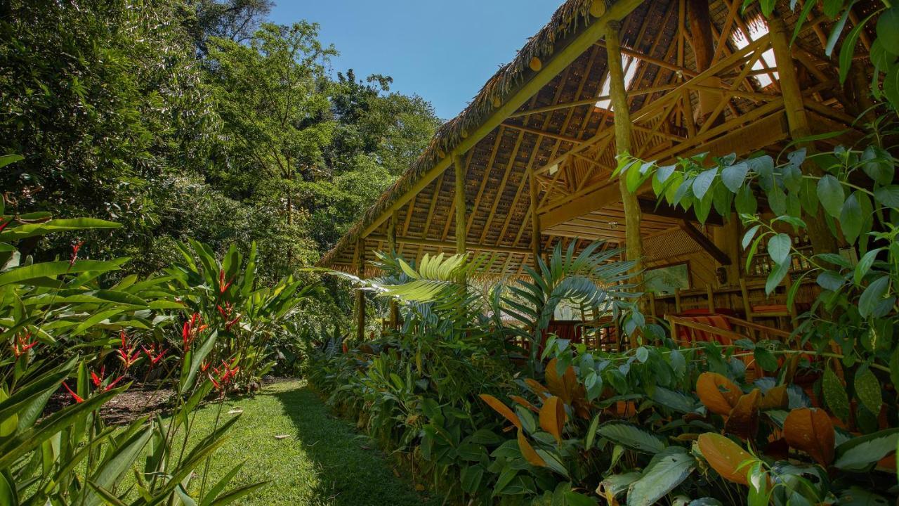 Esquinas Rainforest Lodge Golfito Zewnętrze zdjęcie