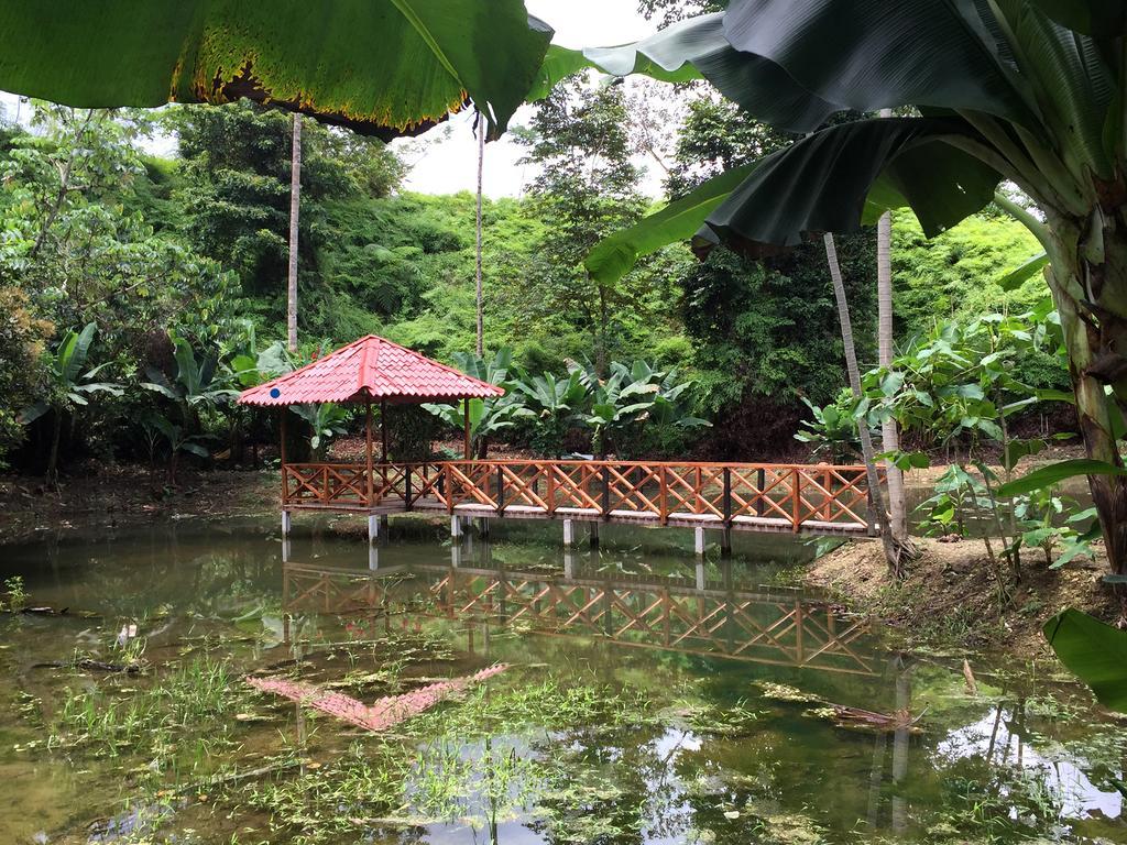Esquinas Rainforest Lodge Golfito Zewnętrze zdjęcie