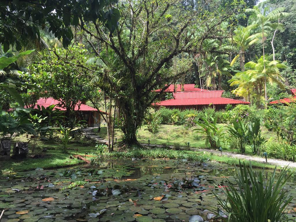 Esquinas Rainforest Lodge Golfito Zewnętrze zdjęcie