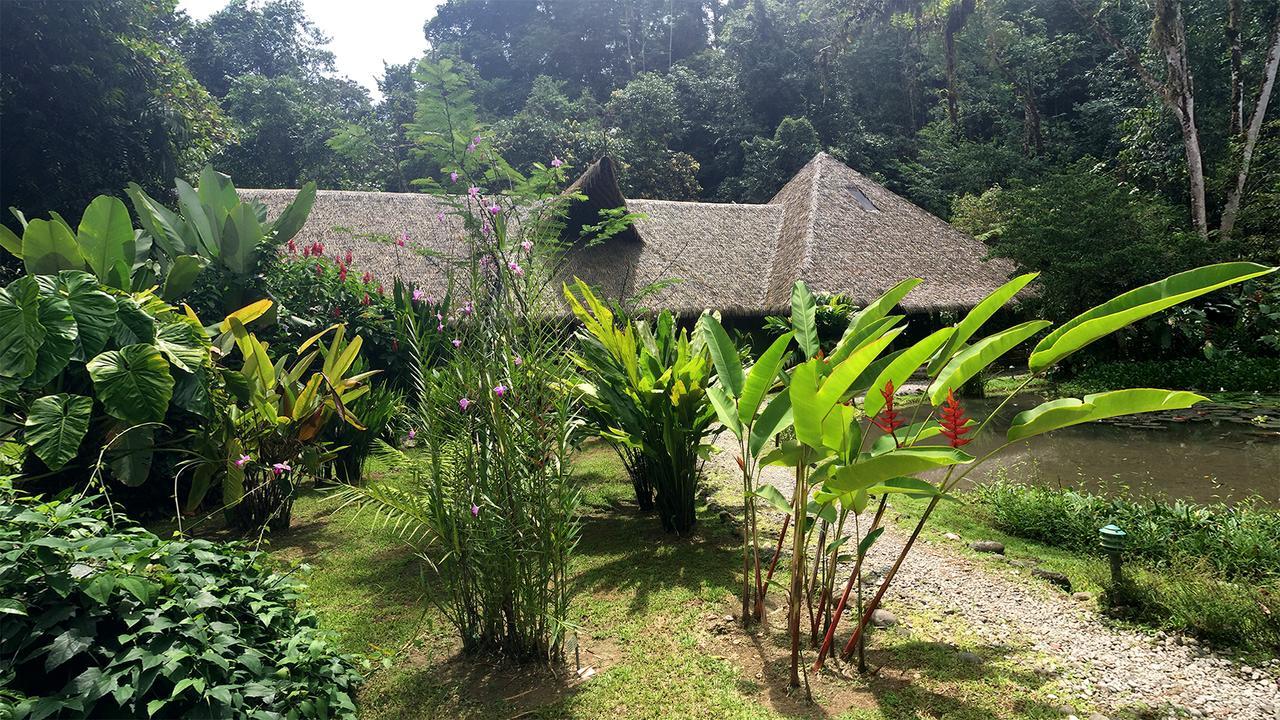Esquinas Rainforest Lodge Golfito Zewnętrze zdjęcie