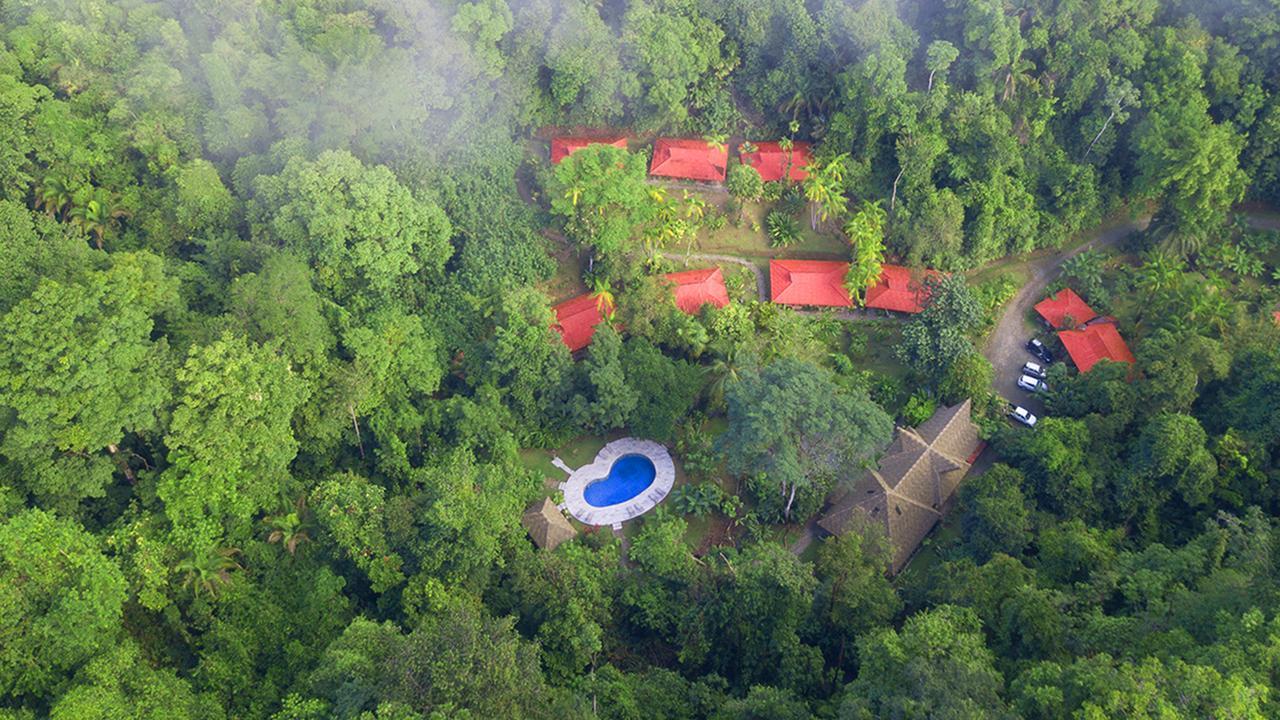 Esquinas Rainforest Lodge Golfito Zewnętrze zdjęcie