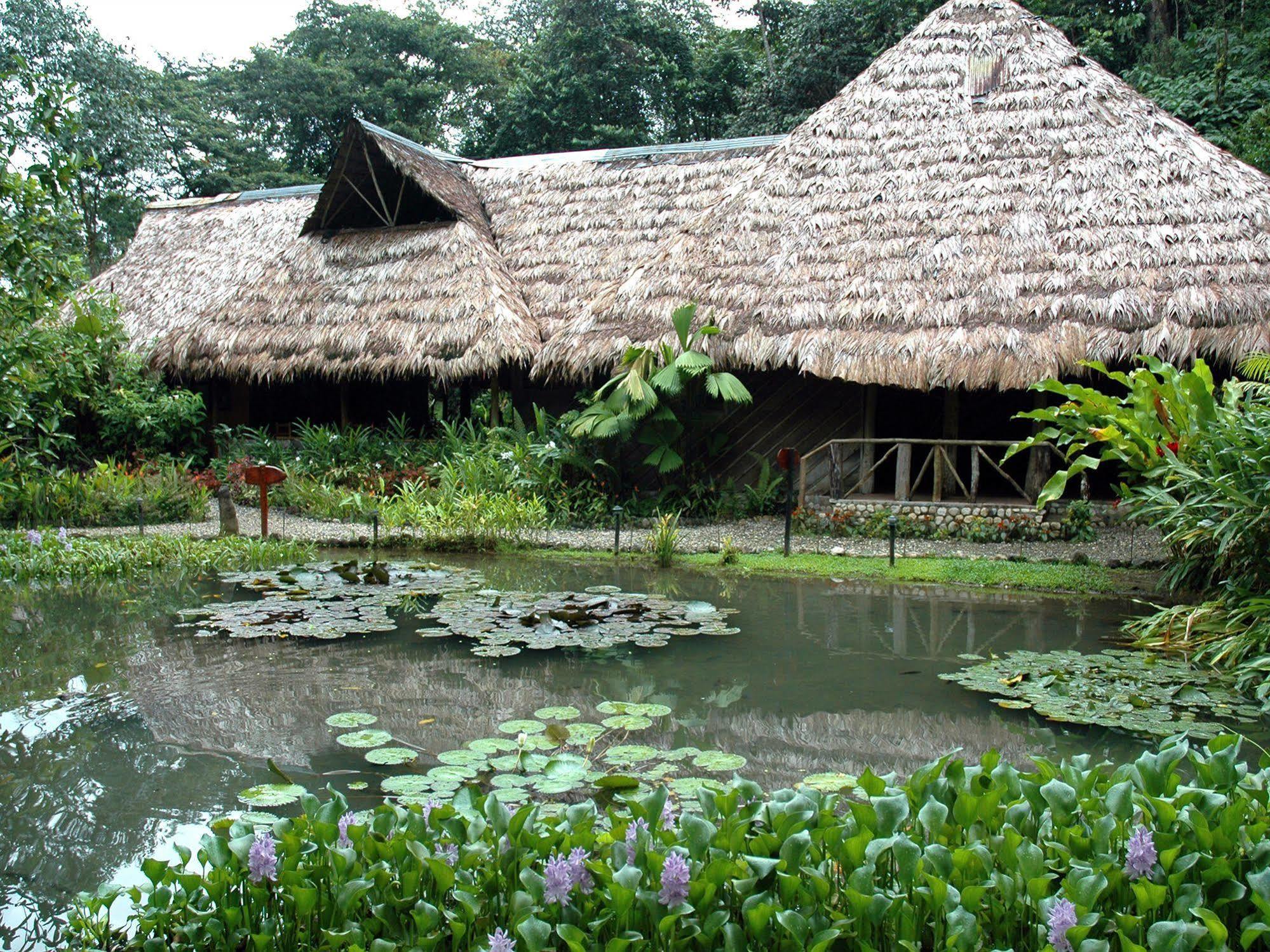 Esquinas Rainforest Lodge Golfito Zewnętrze zdjęcie