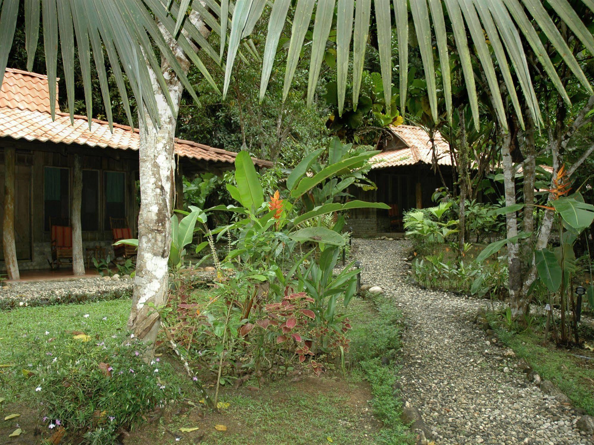 Esquinas Rainforest Lodge Golfito Zewnętrze zdjęcie
