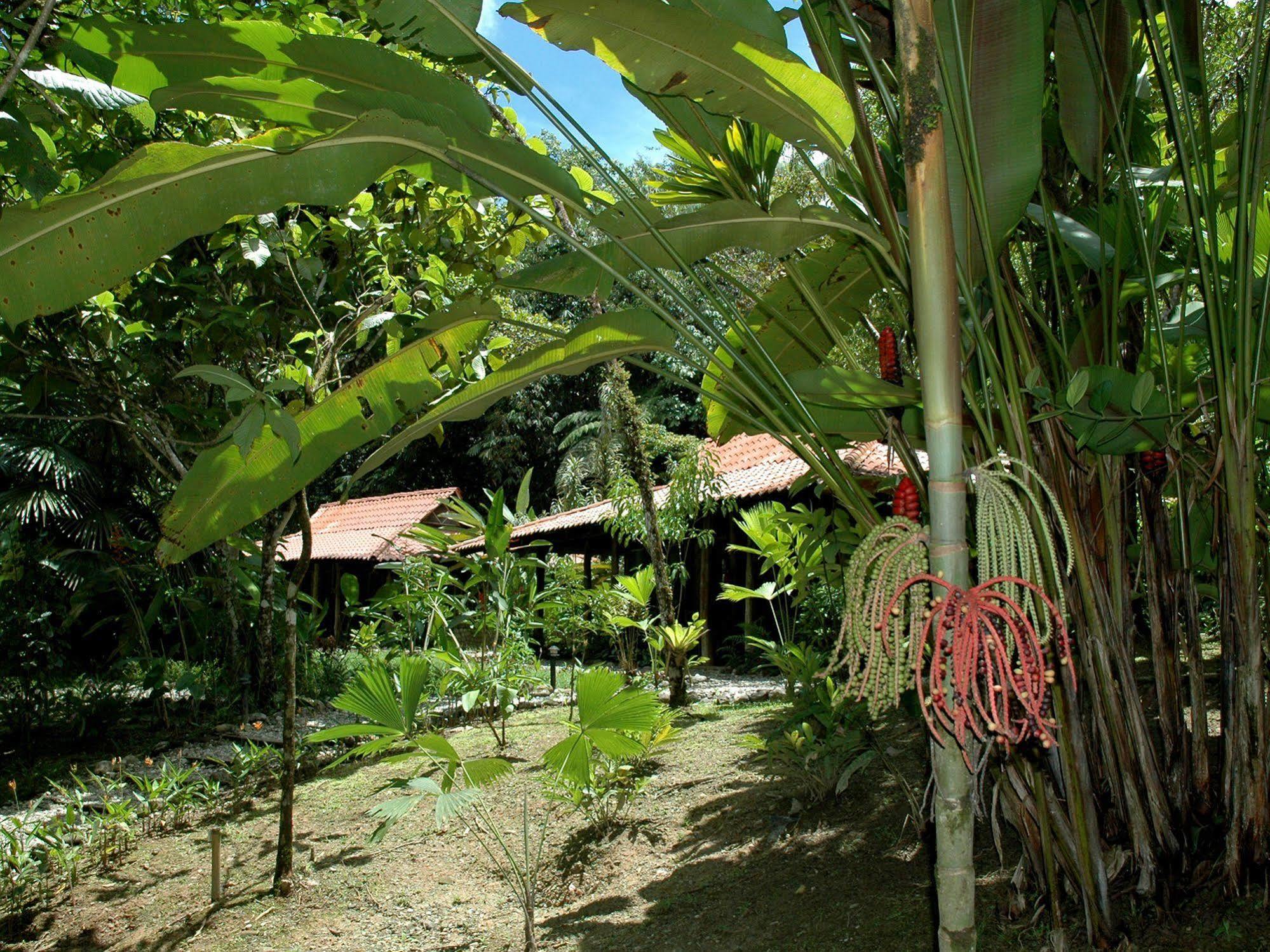 Esquinas Rainforest Lodge Golfito Zewnętrze zdjęcie