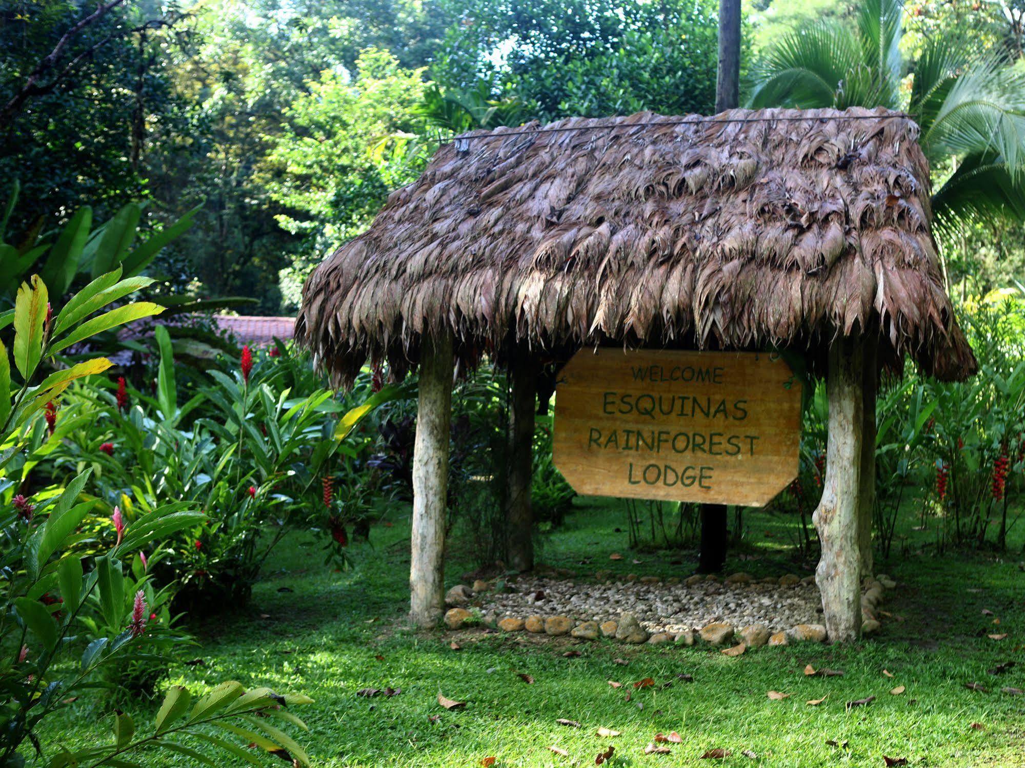 Esquinas Rainforest Lodge Golfito Zewnętrze zdjęcie